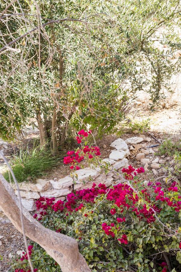 Villa Naot Farm Mashabbe Sade Exterior foto